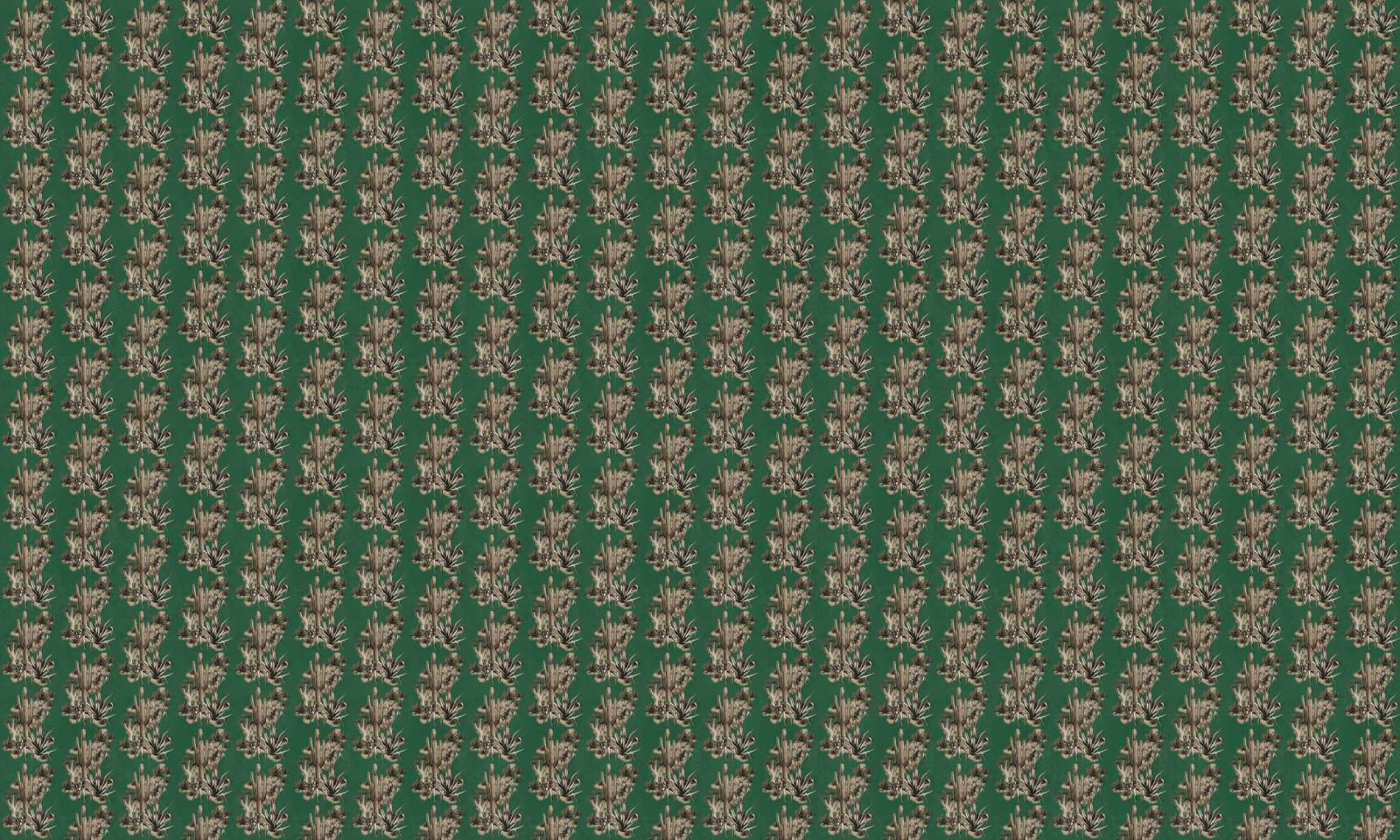 Grand Canyon, Green, Coordonne 5mp / rola 3