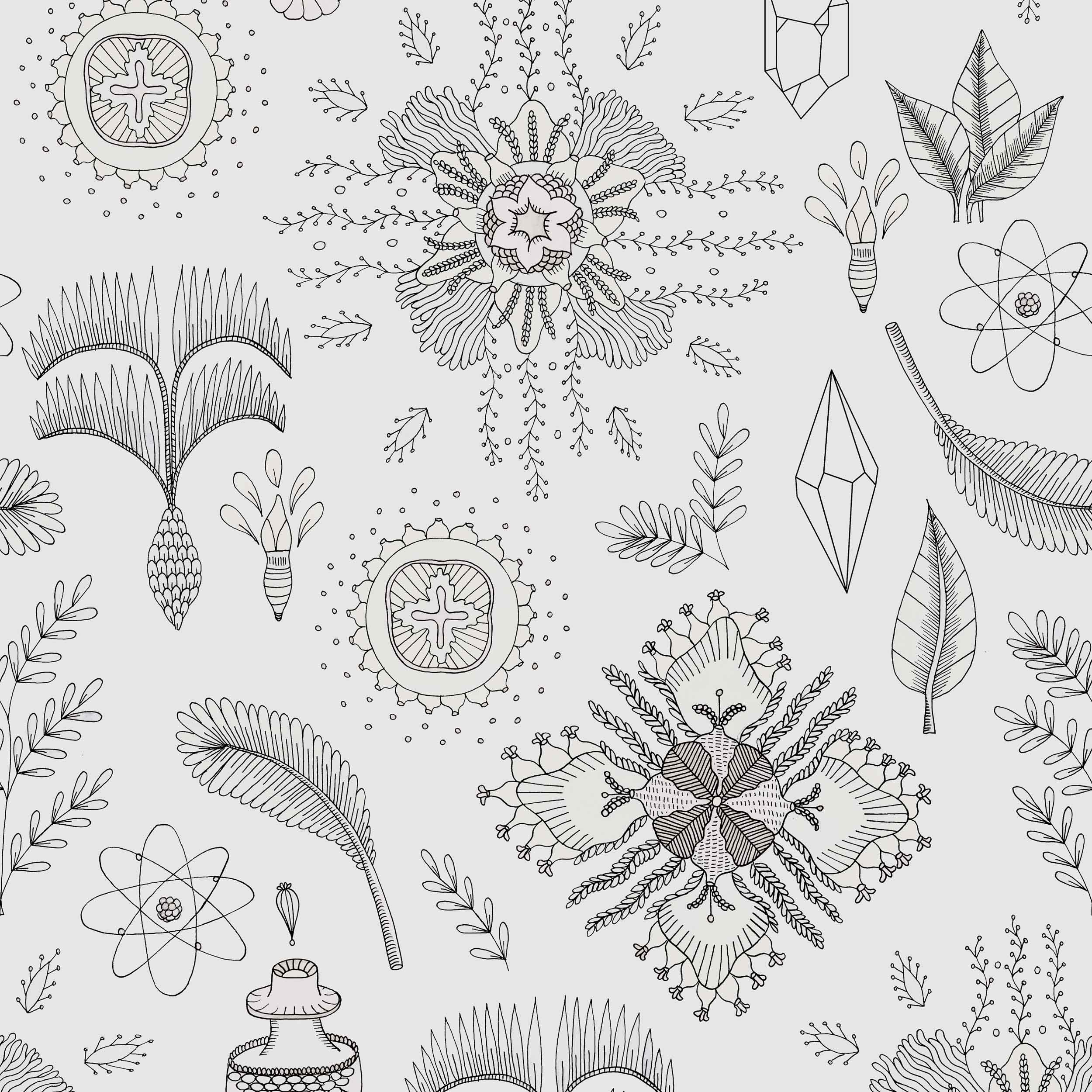 Micro Cosmos, Gris, Coordonne, 5mp / rola