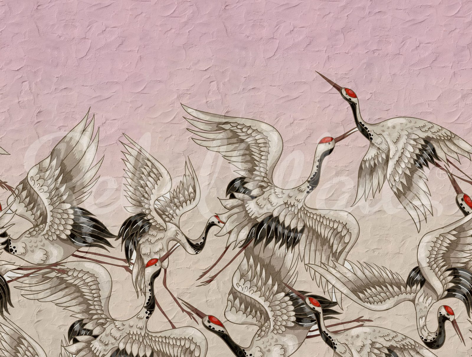 Crain Birds, Rose, Rebel Walls