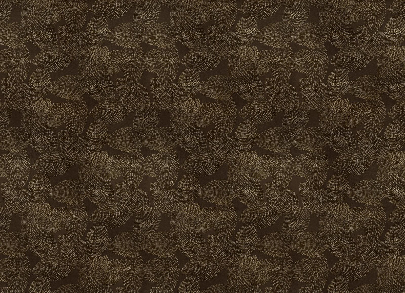 Lignite, Gold, Coordonne