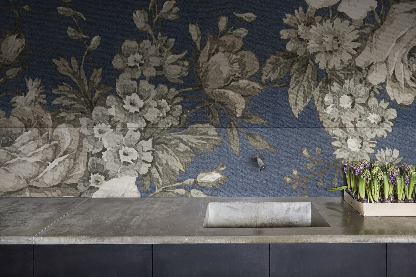 Efraim, Dark Blue, Rebel Walls 3