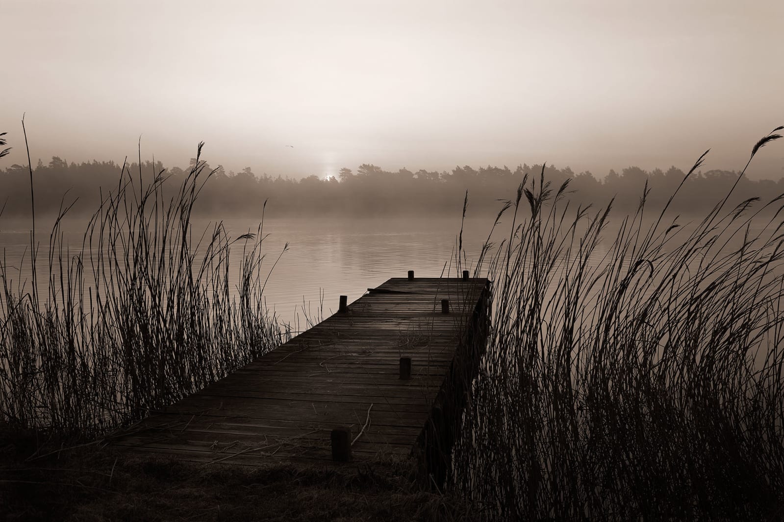 Misty Lake, Rebel Walls