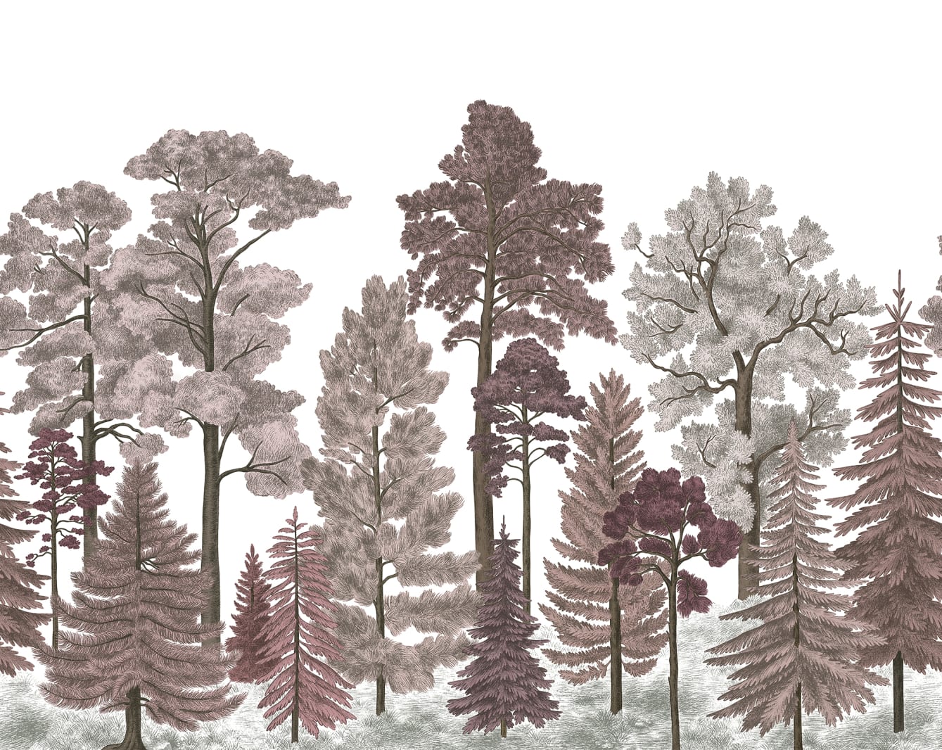 Scandinavian Bellewood, Dawn, Rebel Walls