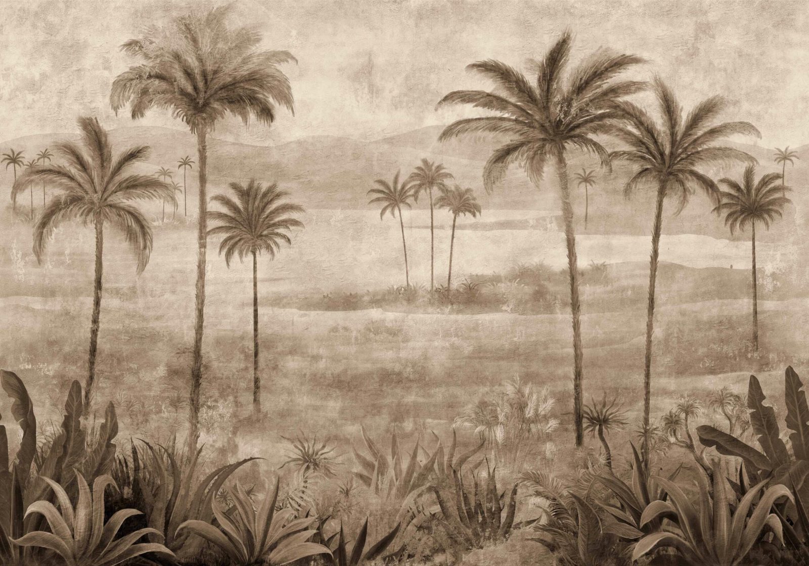 Draa Palms, Bone, Coordonne