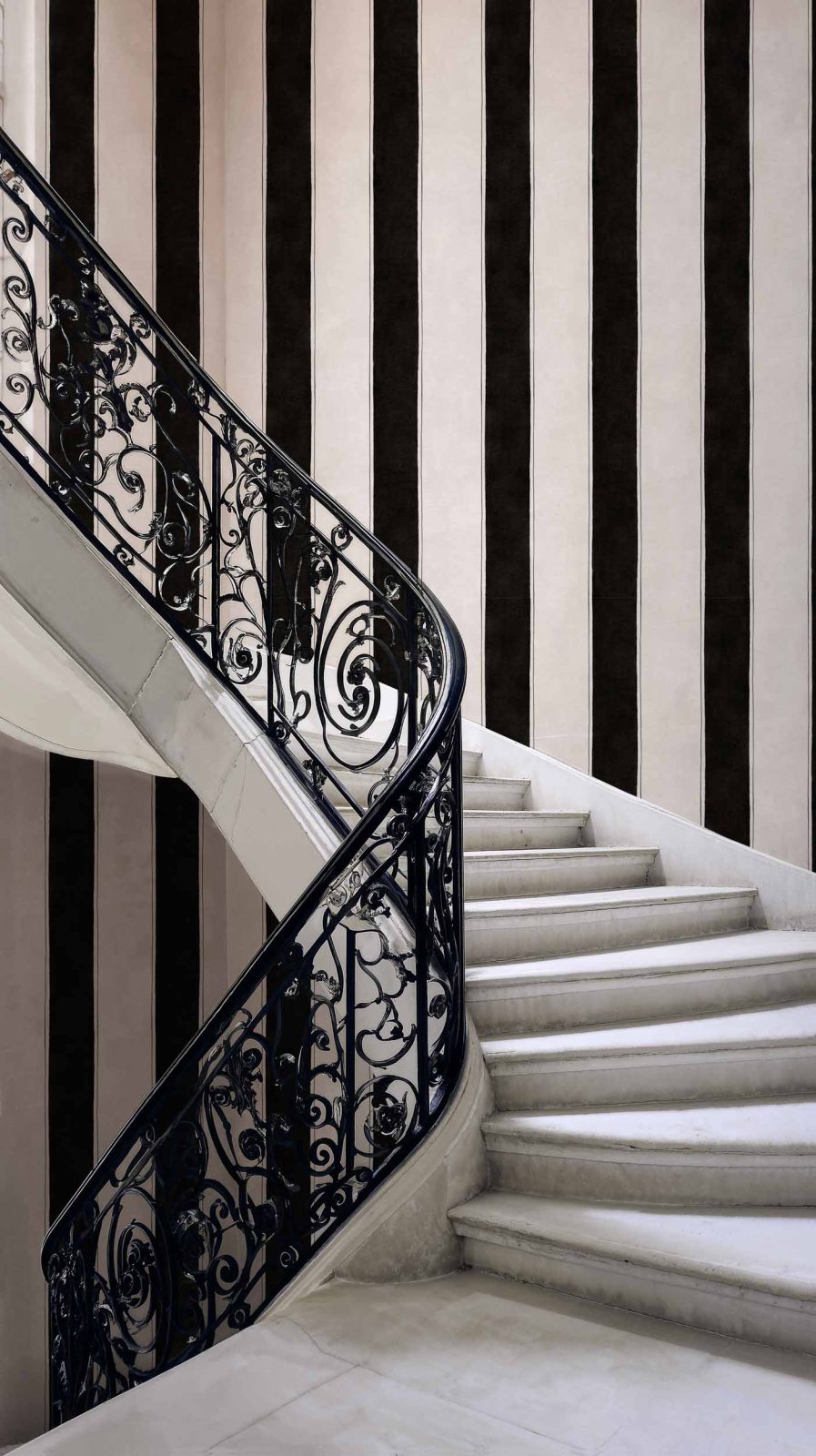 Florentine Stripe, Onyx, Coordonne, 5mp / rola 2