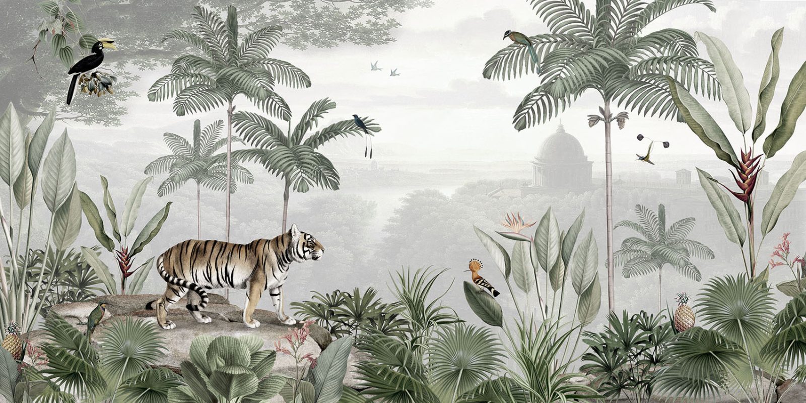 Tropical Tiger, Sir Edward