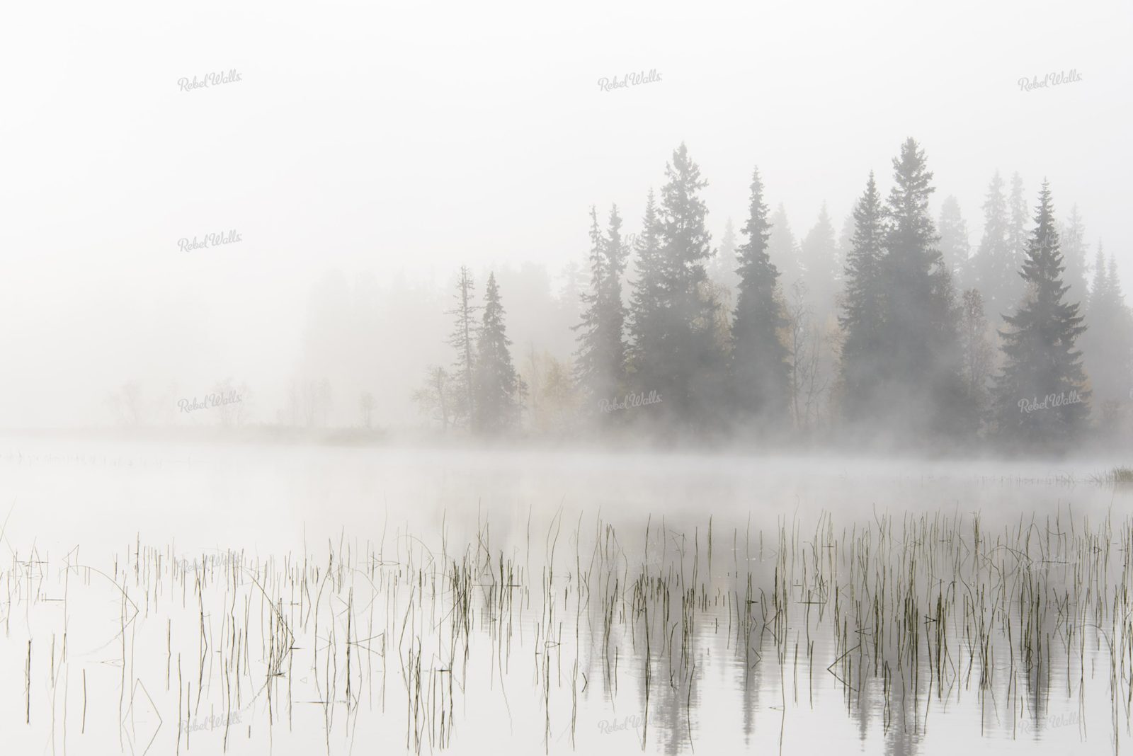 Frosty Lake, Rebel Walls