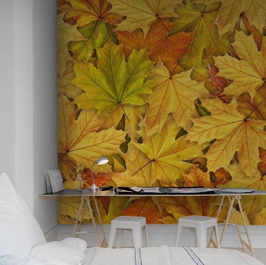 Autumn Leaves, Rebel Walls 2