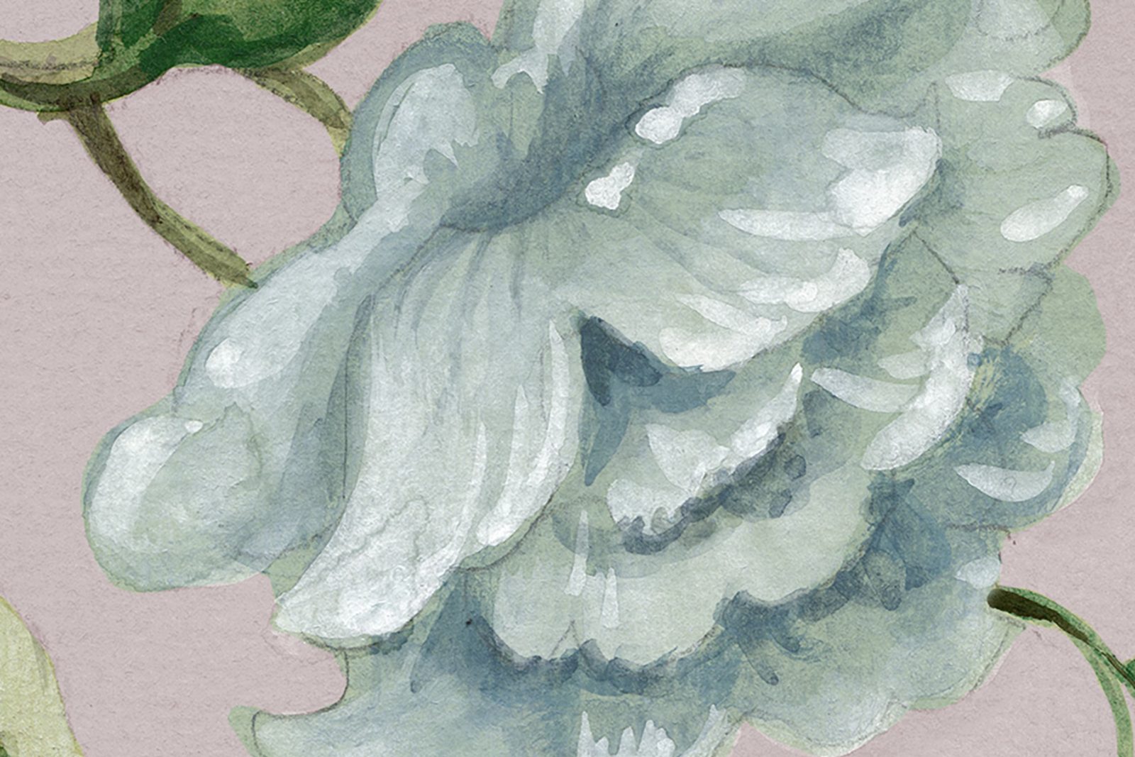 Grandiflora, Soft Pink, Rebel Walls 4