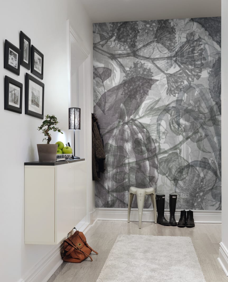 Jelly Belly Plants, Black & White, Rebel Walls 4
