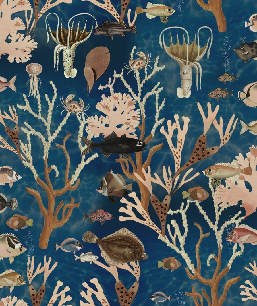 Aquarium, Ocean, Rebel Walls