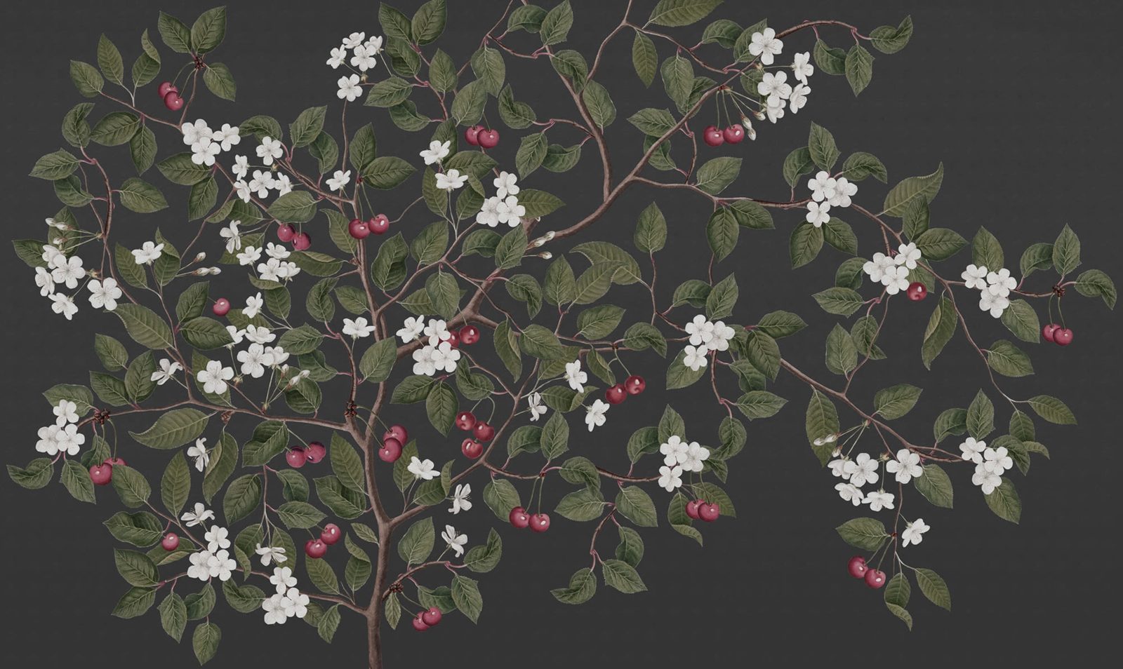 Cherries, Midnight, Rebel Walls