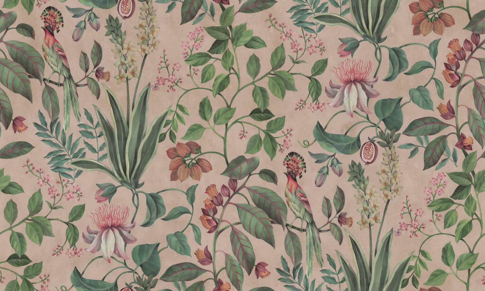 Tropical Harmony, Pink, Rebel Walls