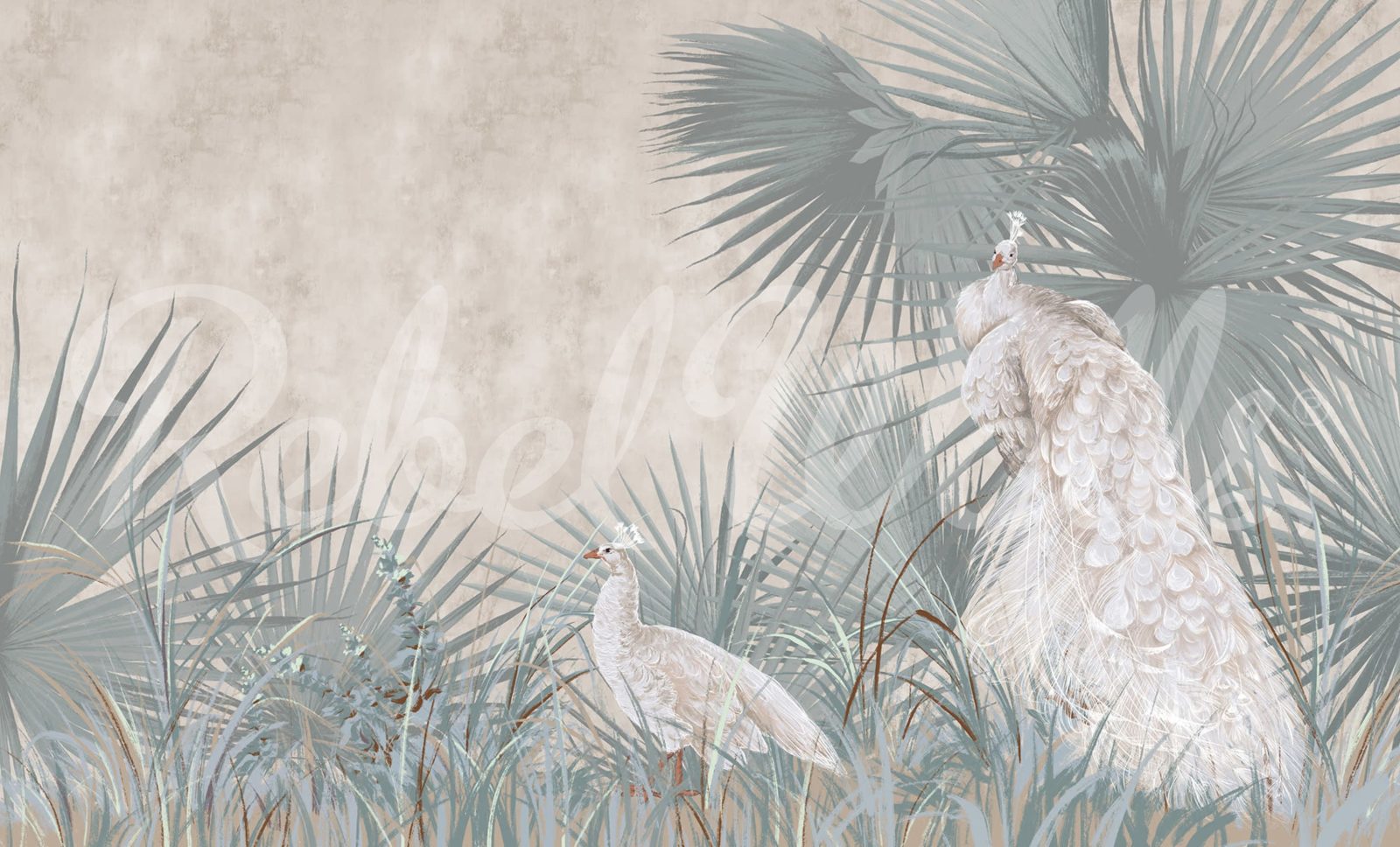 White Peacocks, Rebel Walls