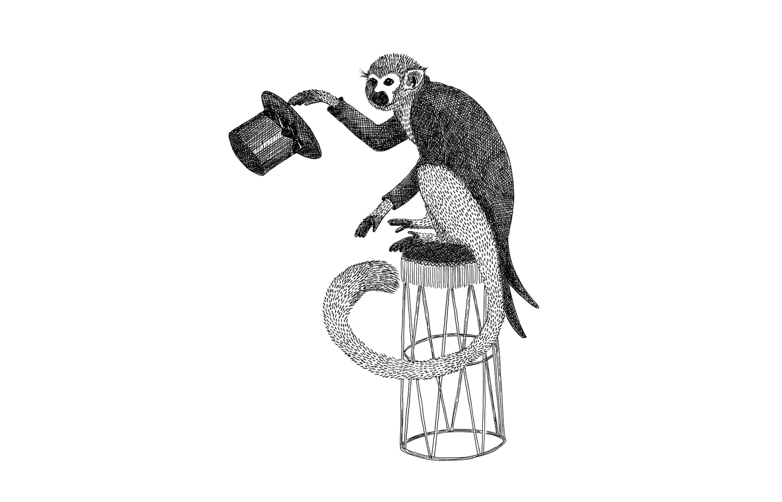 Circus Animal, Mr Monkey, Rebel Walls