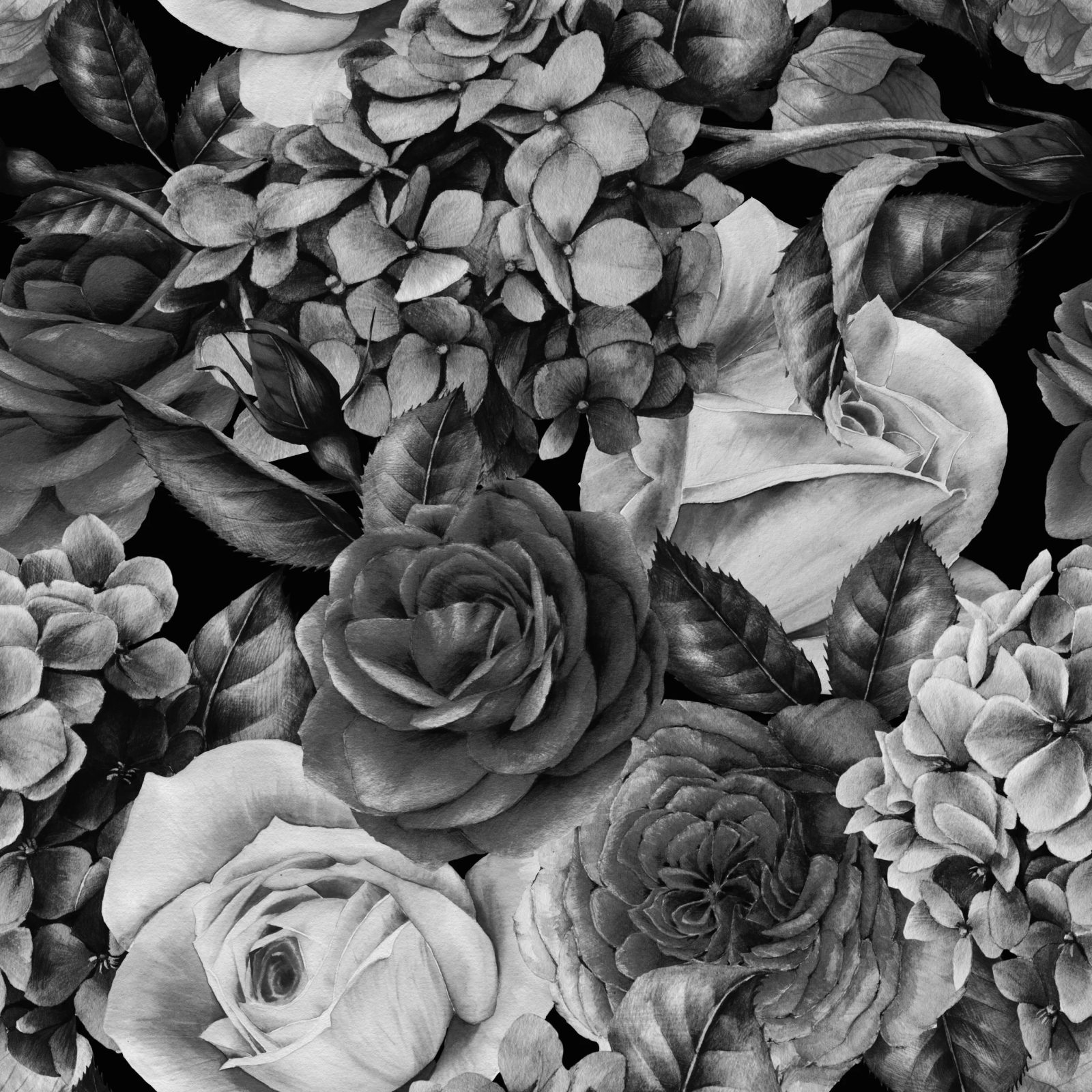 B&W Flowers, VLAdiLA
