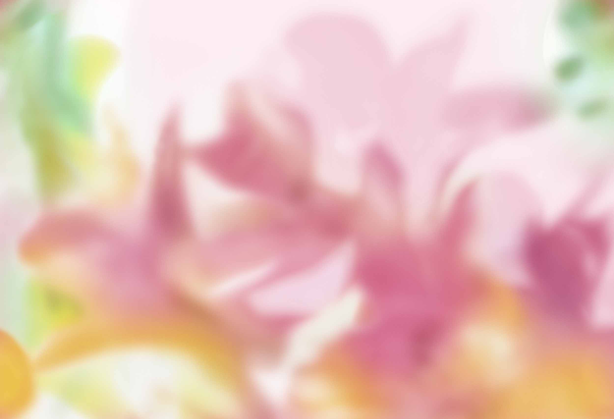 Maravillas, Pink, Coordonne