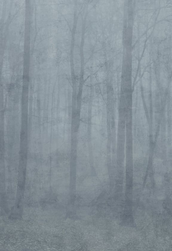 Skog Misty Blue, Sandberg