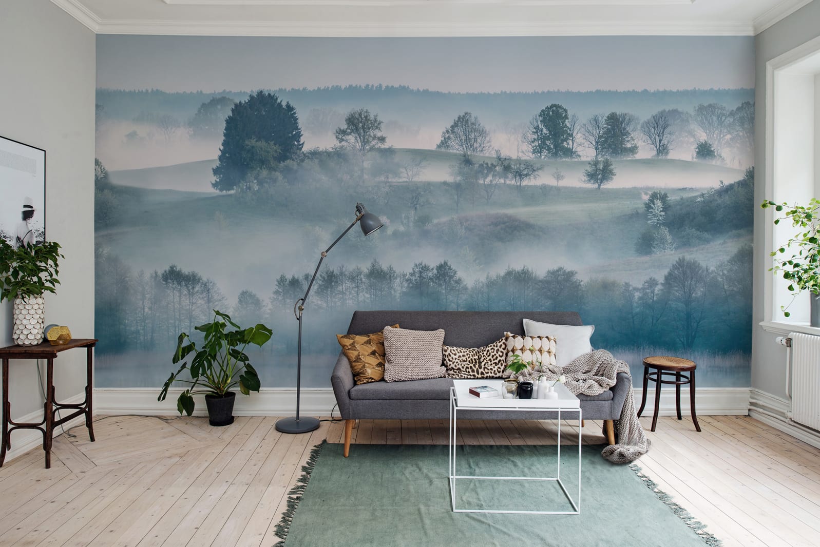 Morning Haze, Rebel Walls 2