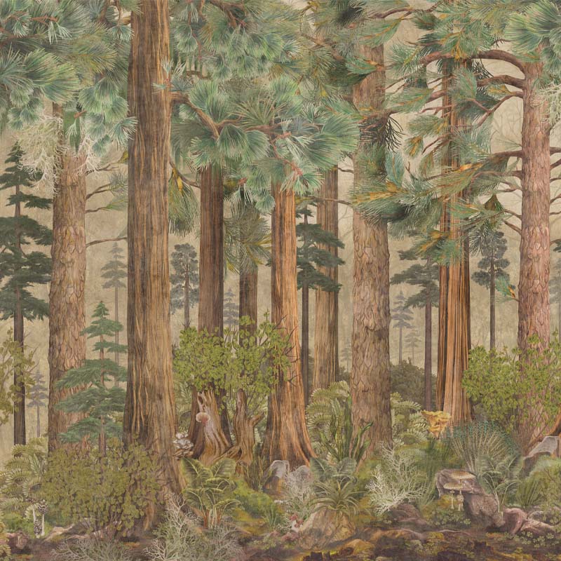 Inner Greenwood, VLAdiLA