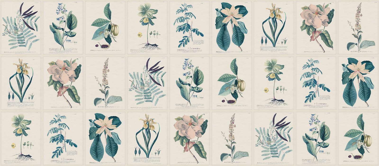 Flora, Blue, Sandberg