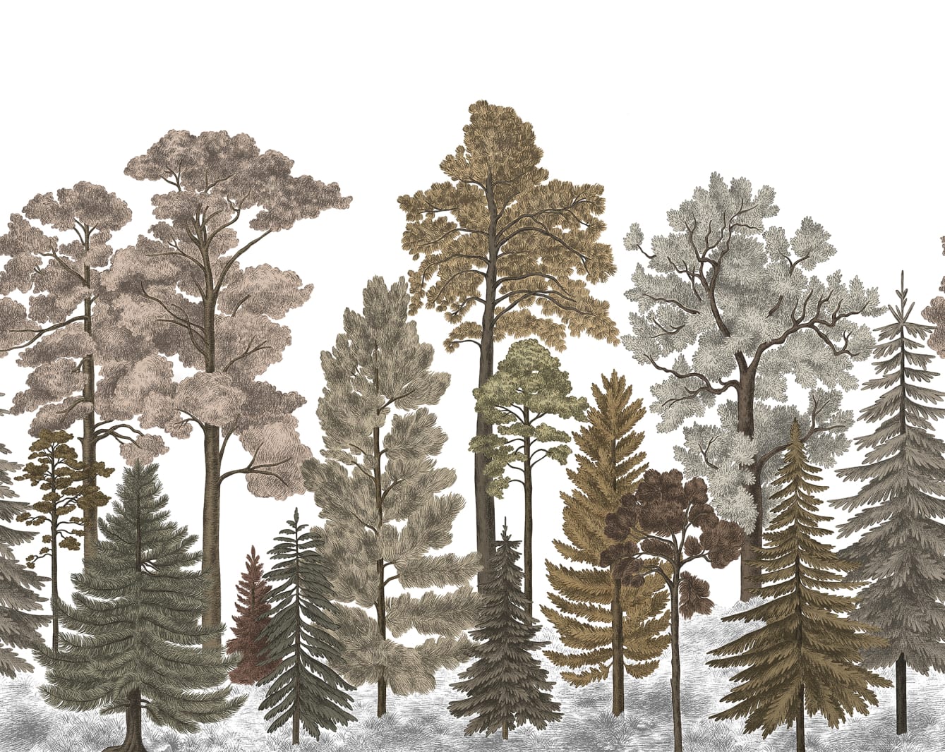 Scandinavian Bellewood, Fall, Rebel Walls