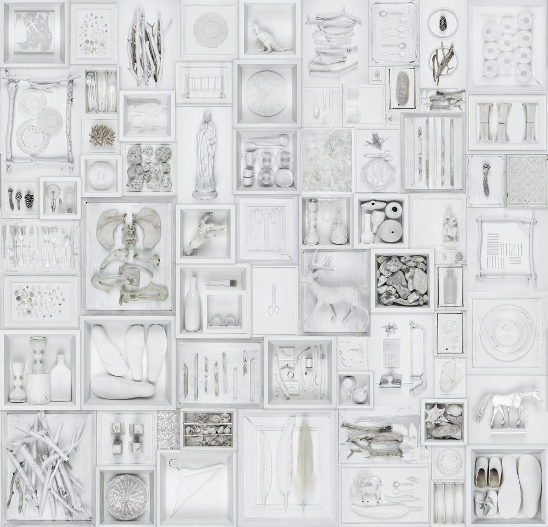 Bleached Oddities, Rebel Walls