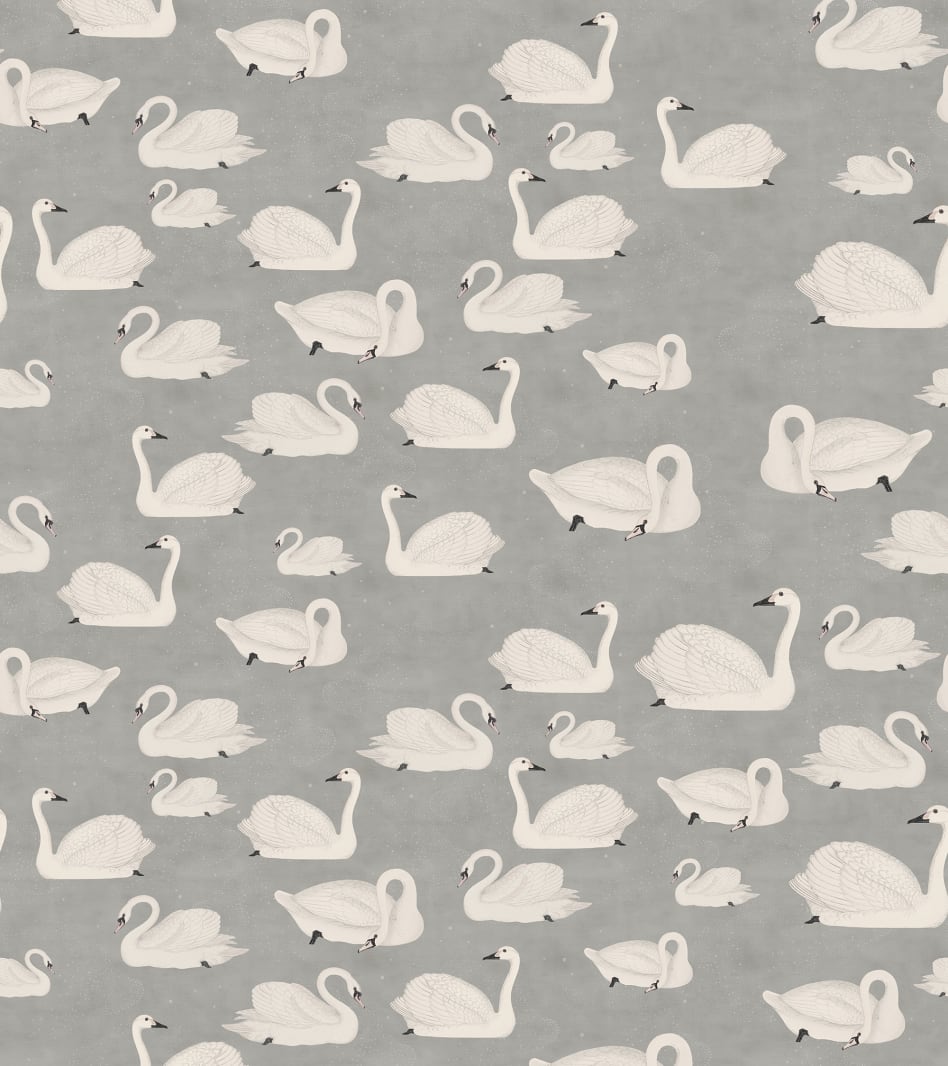 Cygne, Rebel Walls