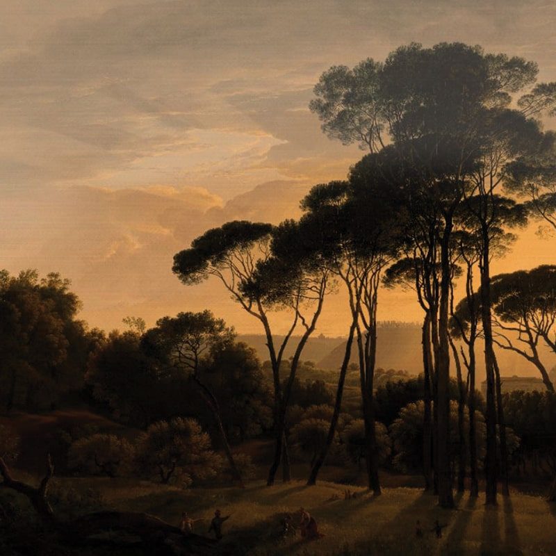 Umbrella Pines Dusk, VLAdiLA