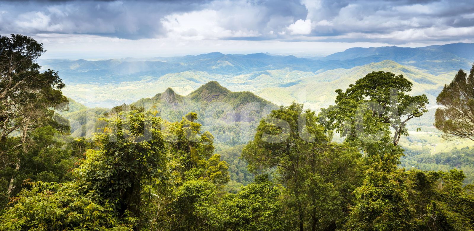High Mountains, Green, Rebel Walls