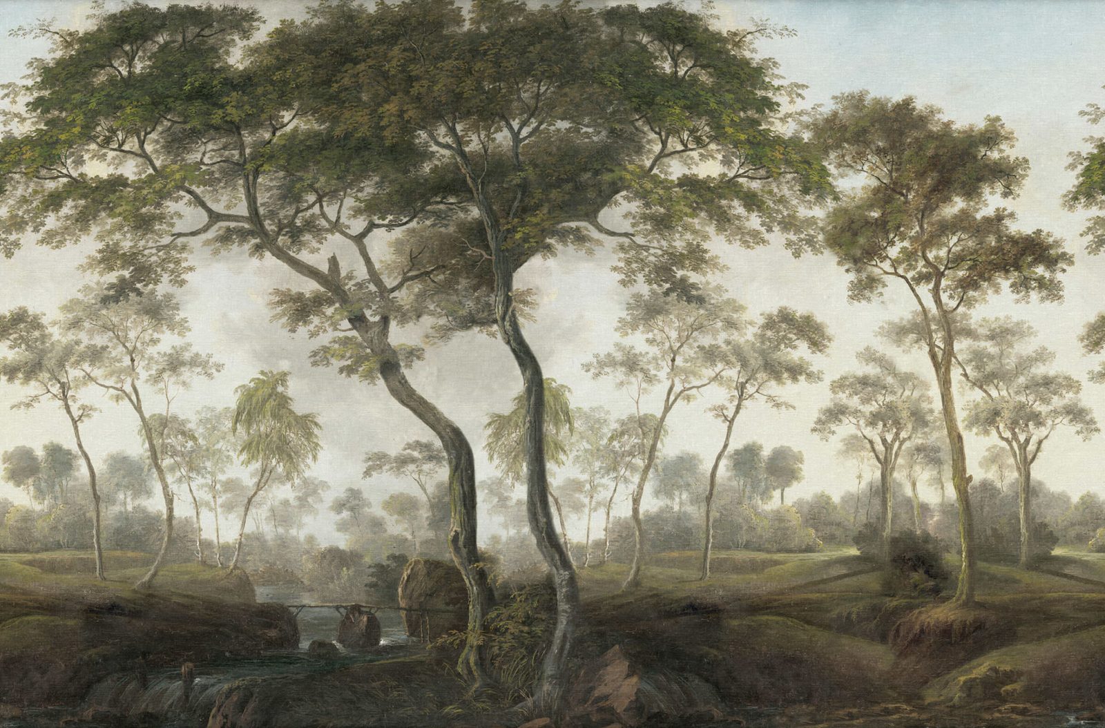 The Green Forest, Morning, Rebel Walls