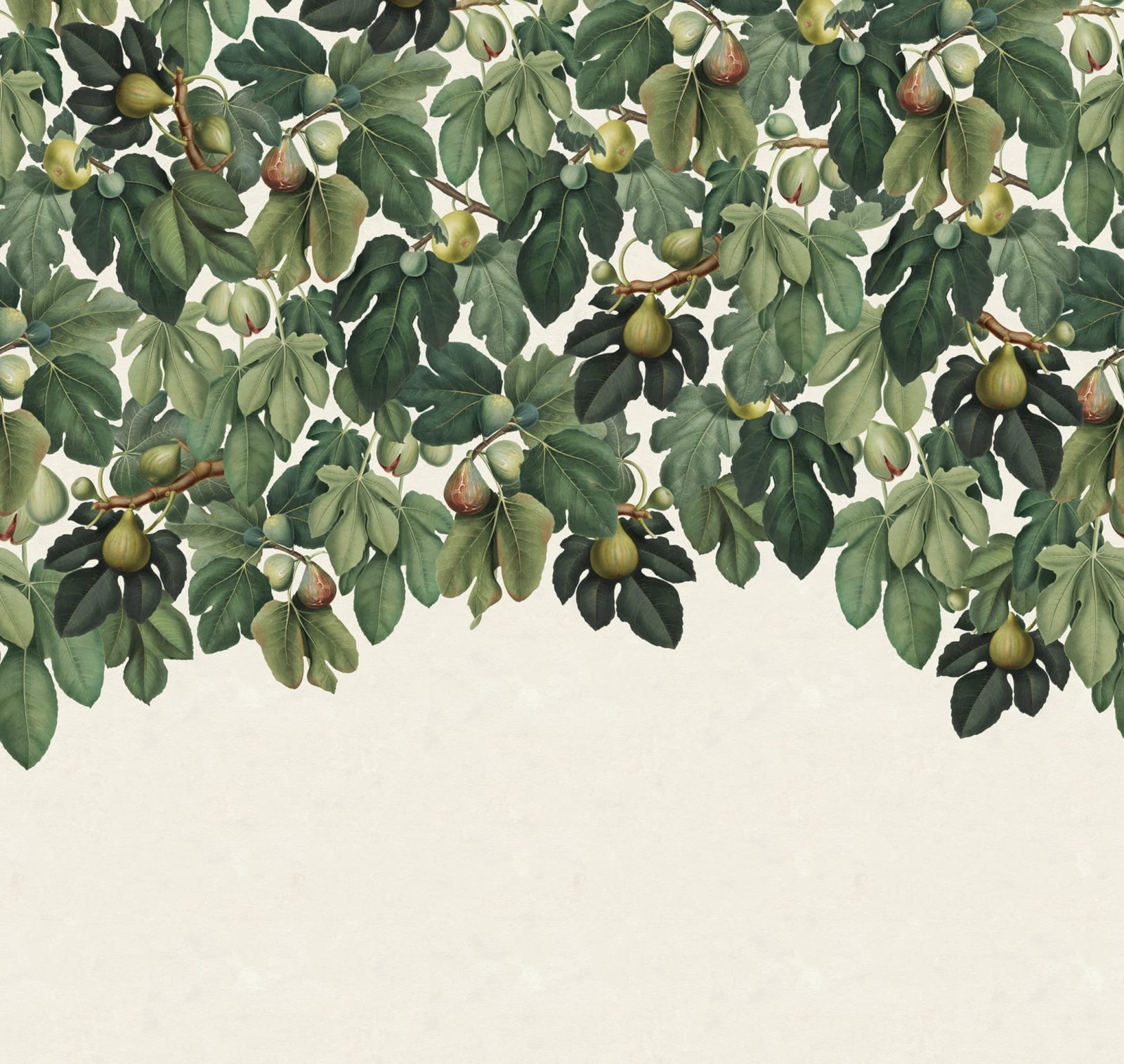 Dangling Figs, Green, Rebel Walls