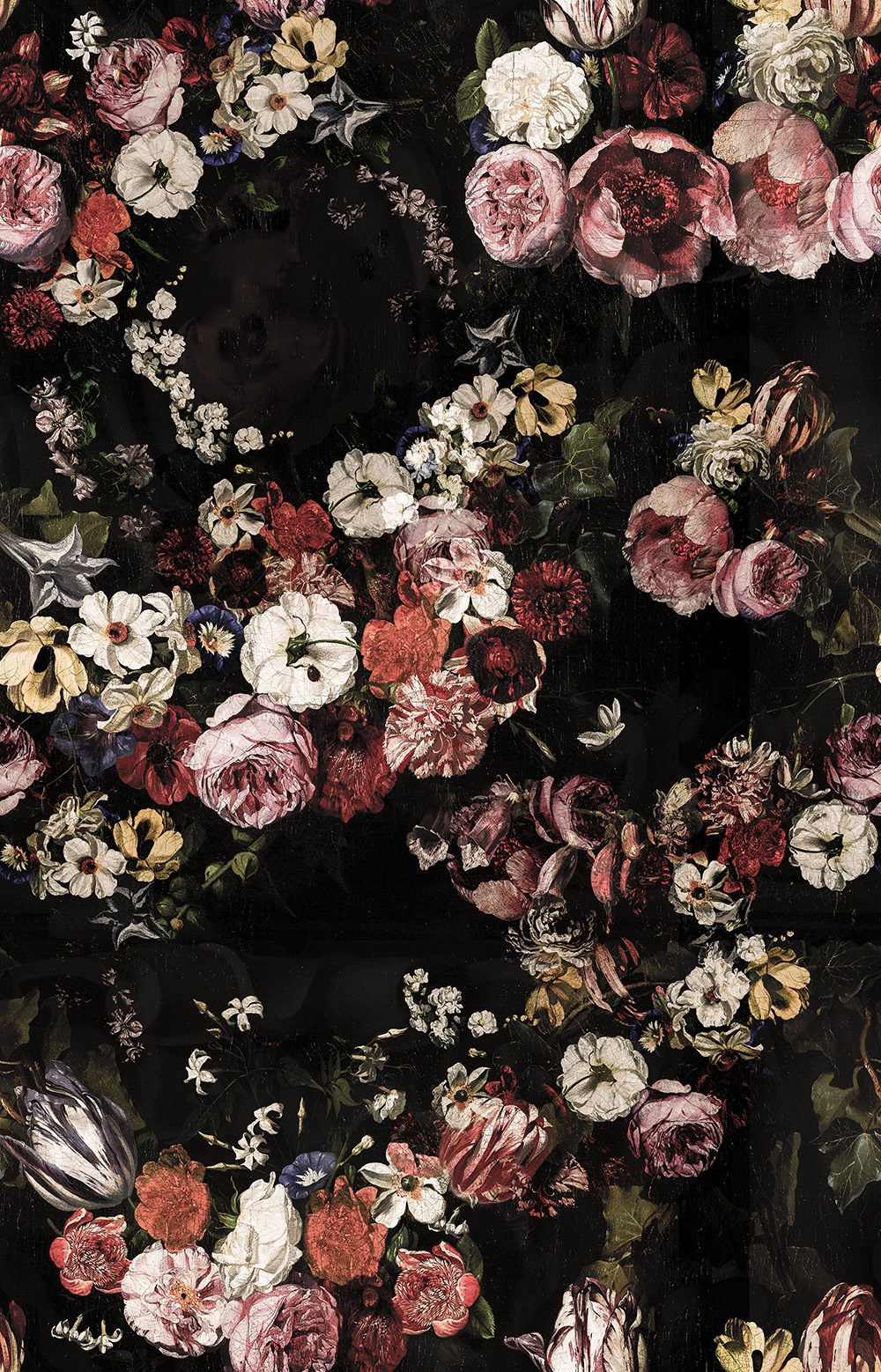 Briar Roses, Rebel Walls