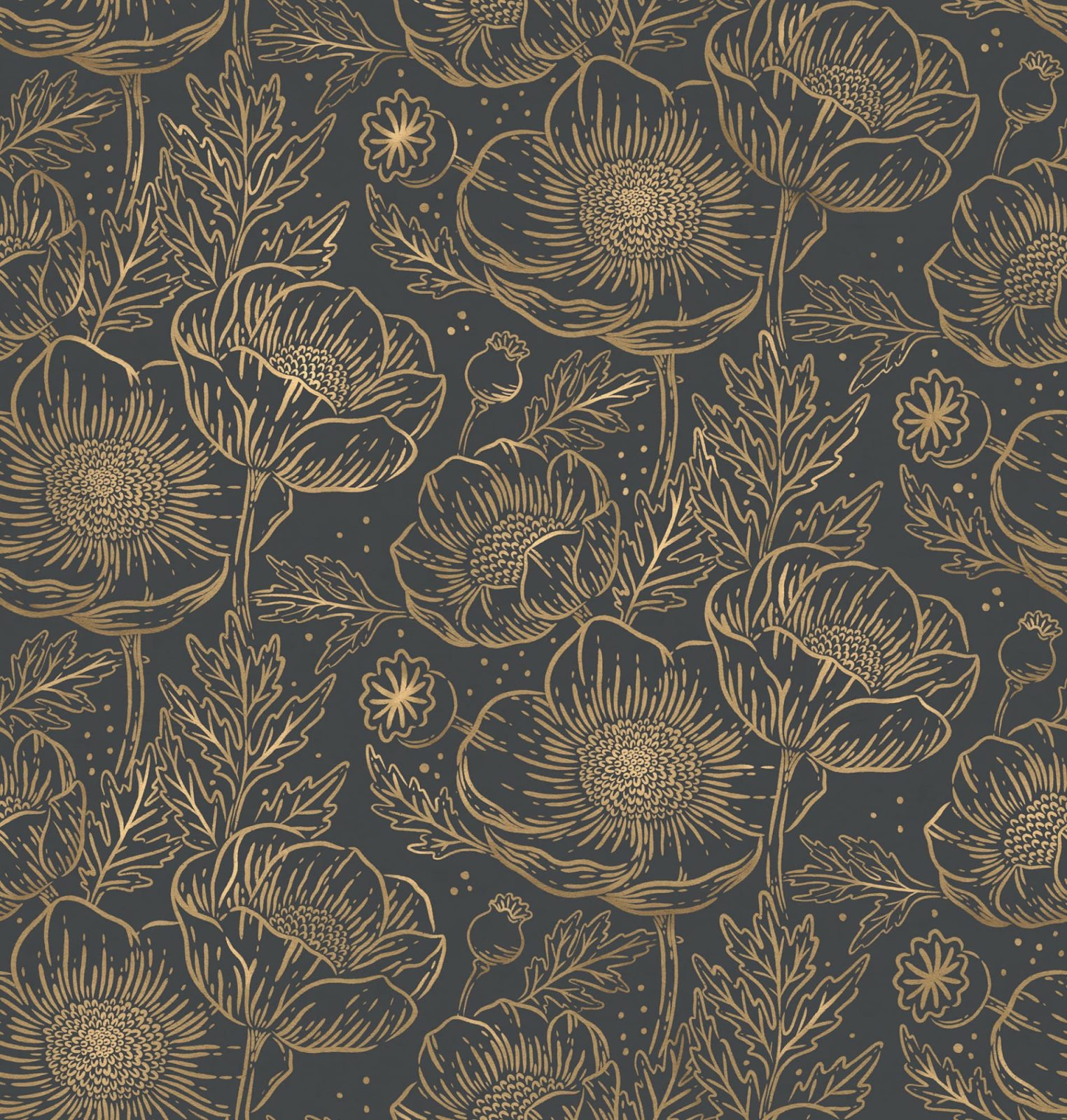 Golden Poppy, Midnight, Rebel Walls