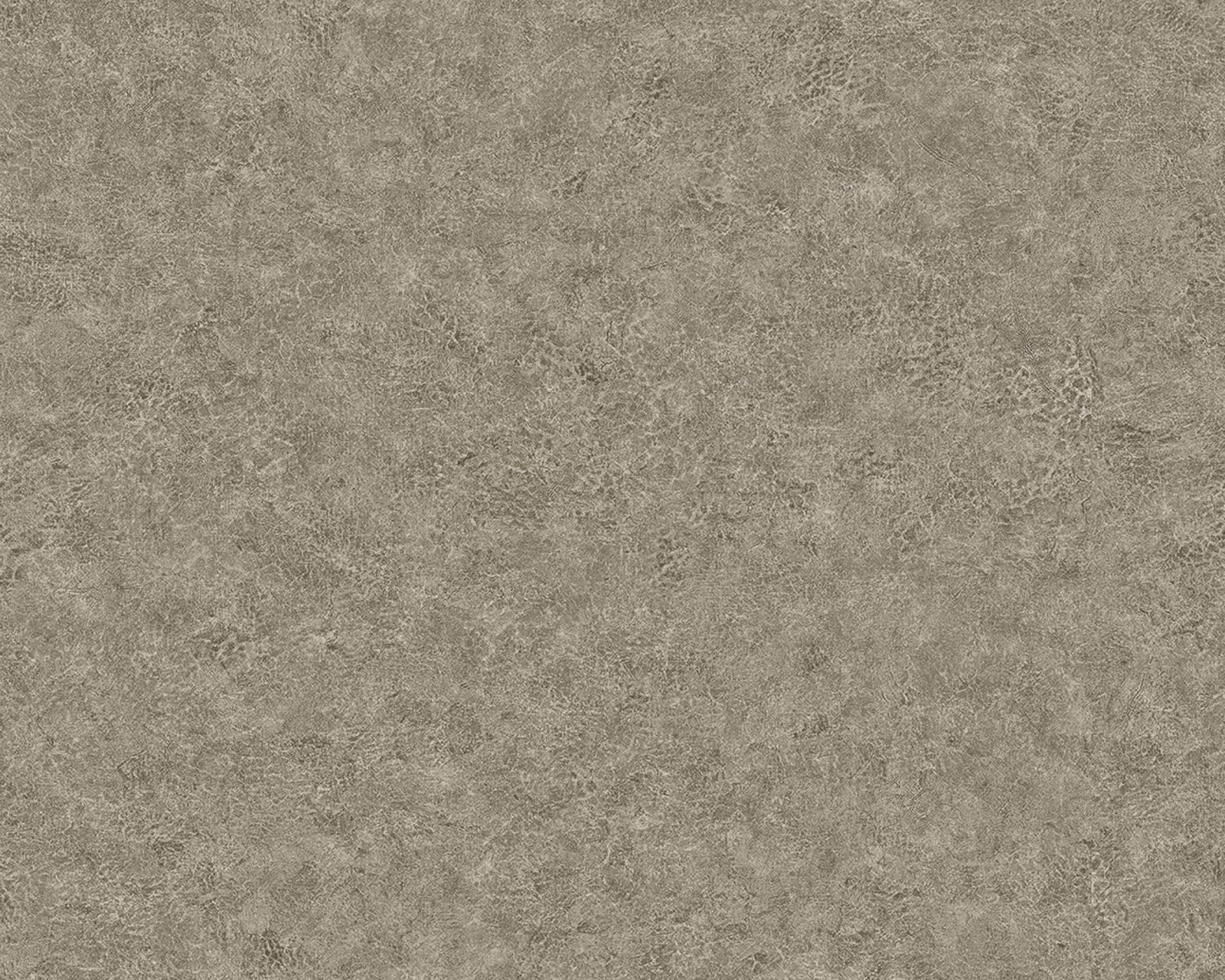 Elephant Leather, 64735608, Coordonne