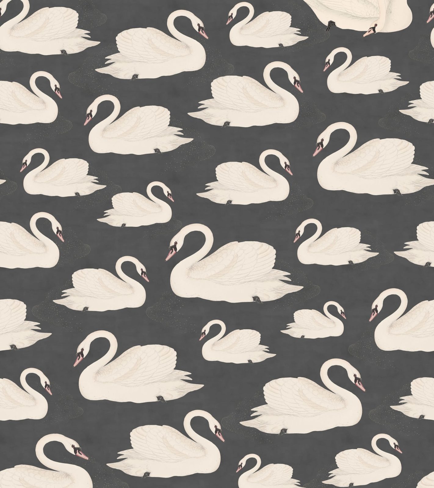 Whooper Swan, Black, Rebel Walls