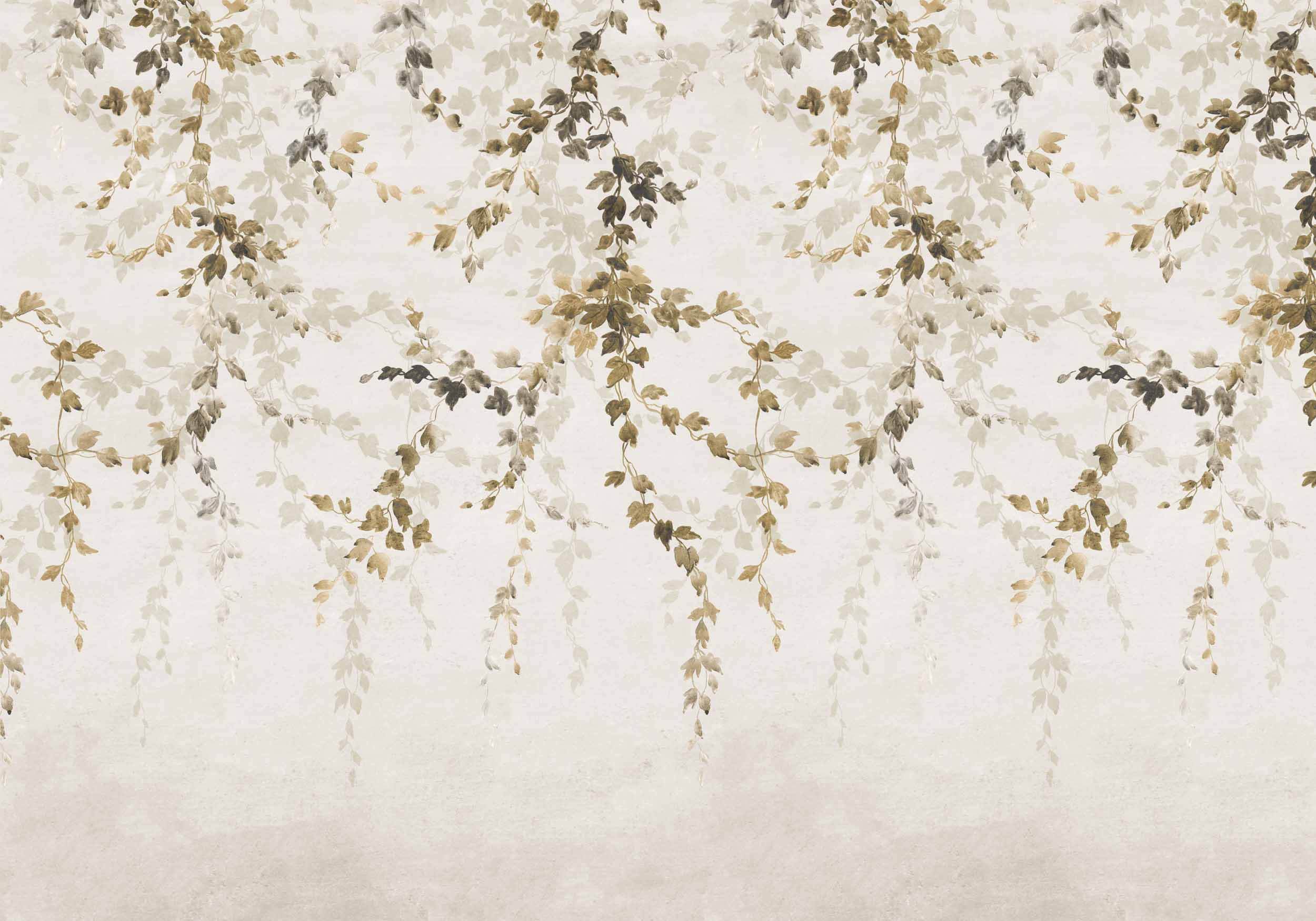 Vine Shadow, Curry, Coordonne