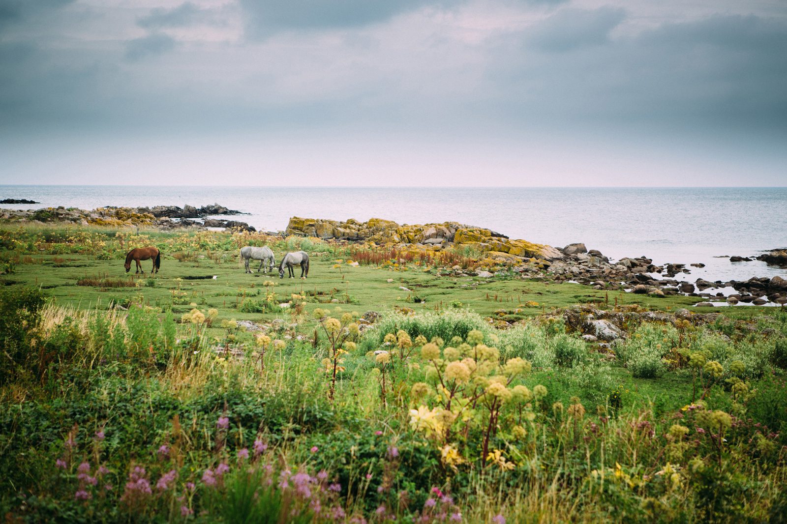 Bareback, Rebel Walls