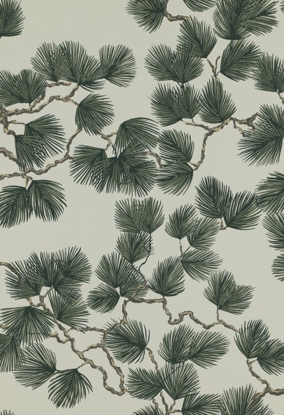 Pine Green, Sandberg, 5.3mp / rola