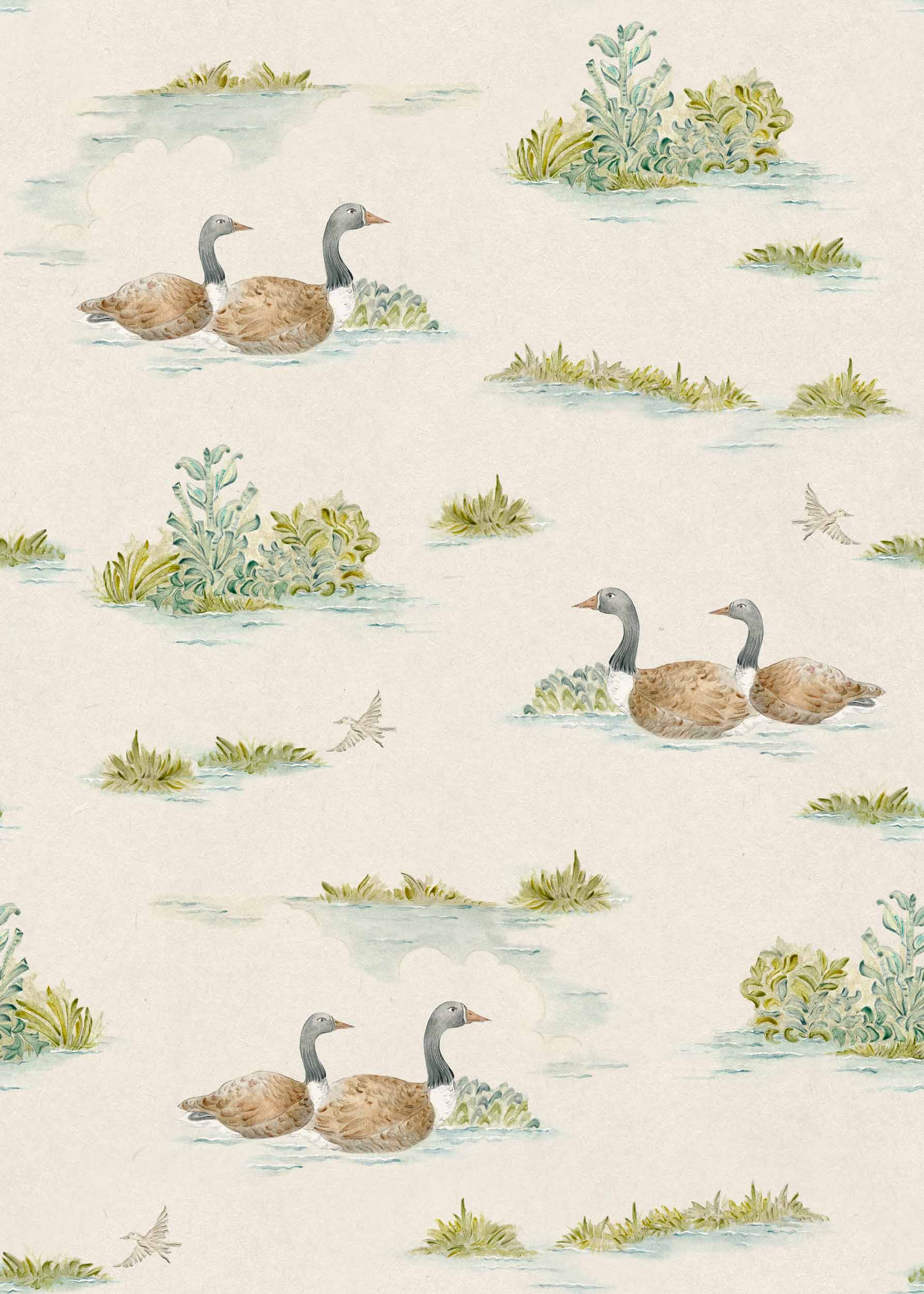 Mallard-Duck, Mint, Coordonne, 5mp / rola