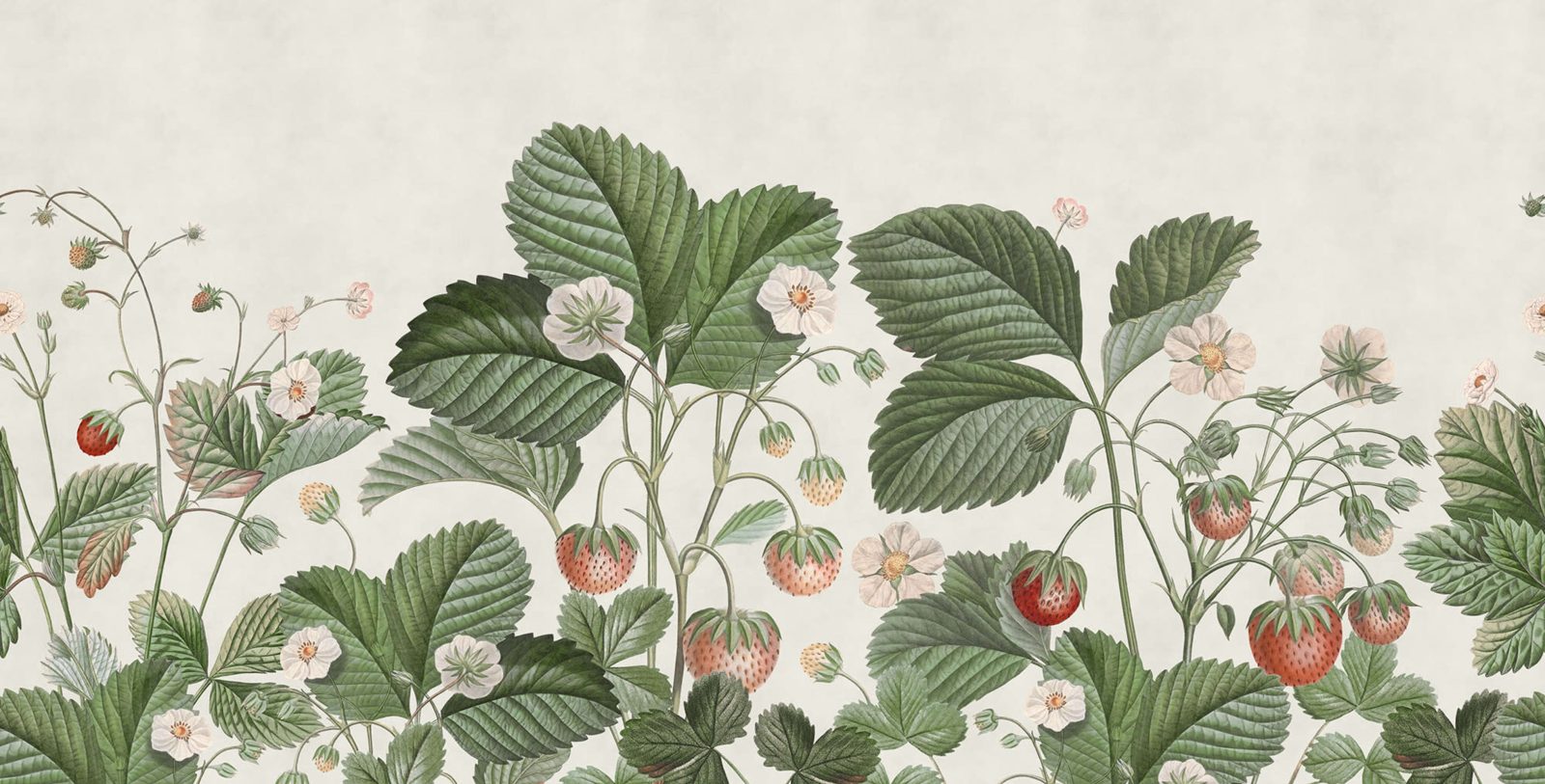 Wild Strawberries, Green, Rebel Walls