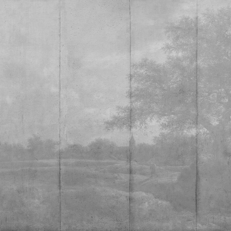 Countryside (gray), VLAdiLA 3