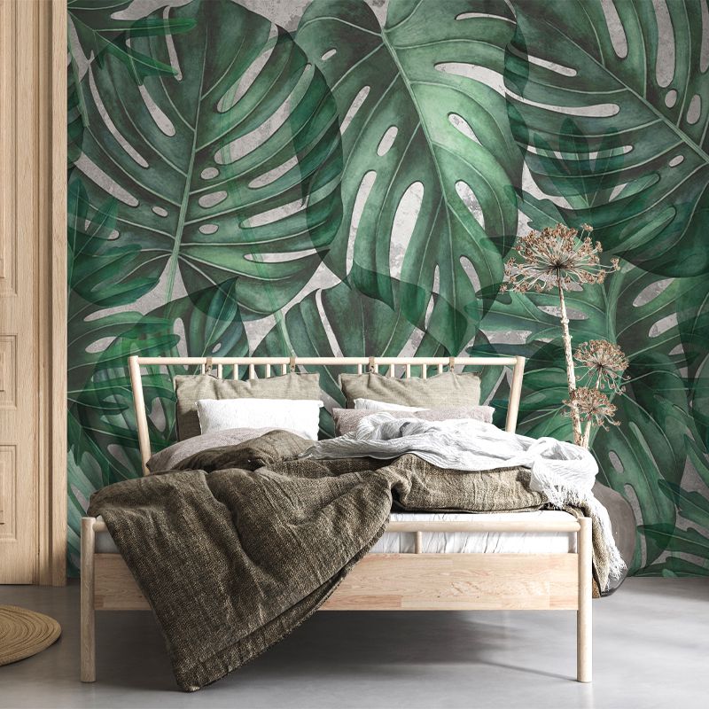 Green Philodendron, VLAdiLA 4
