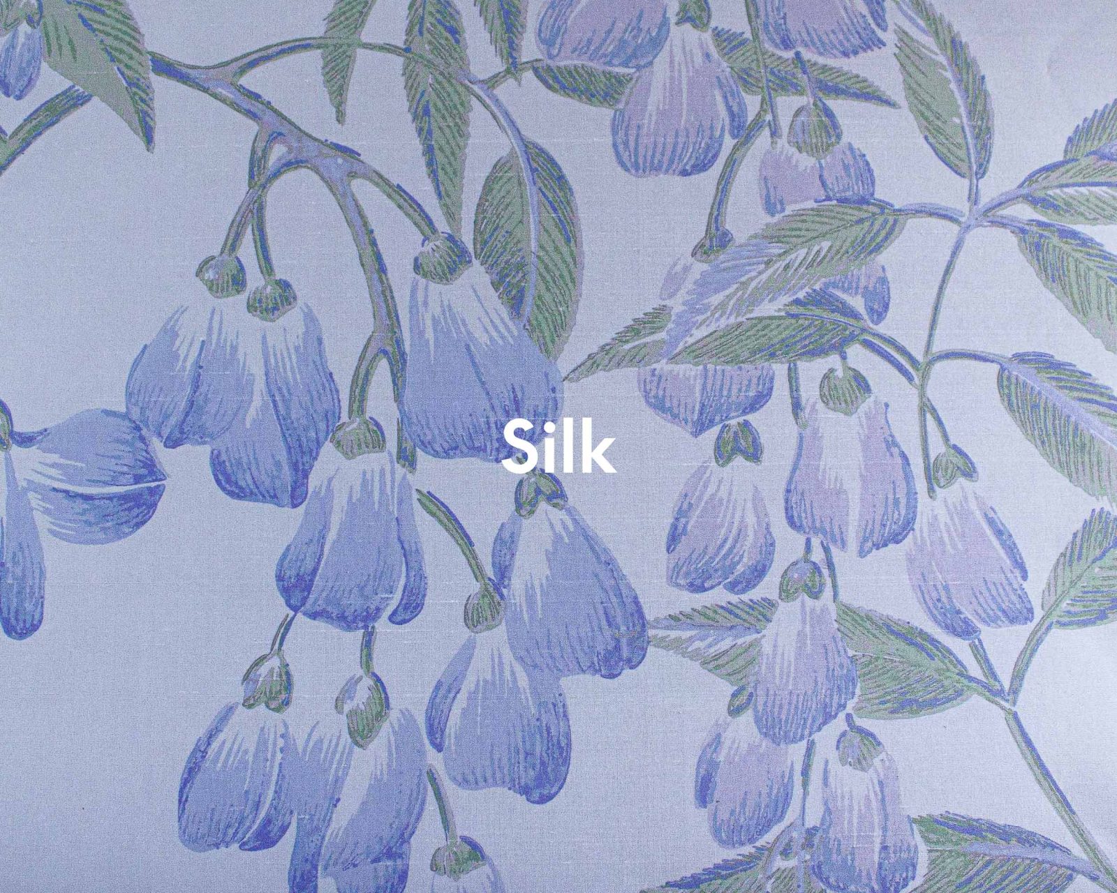 Manuela, Lilac, Coordonne 7