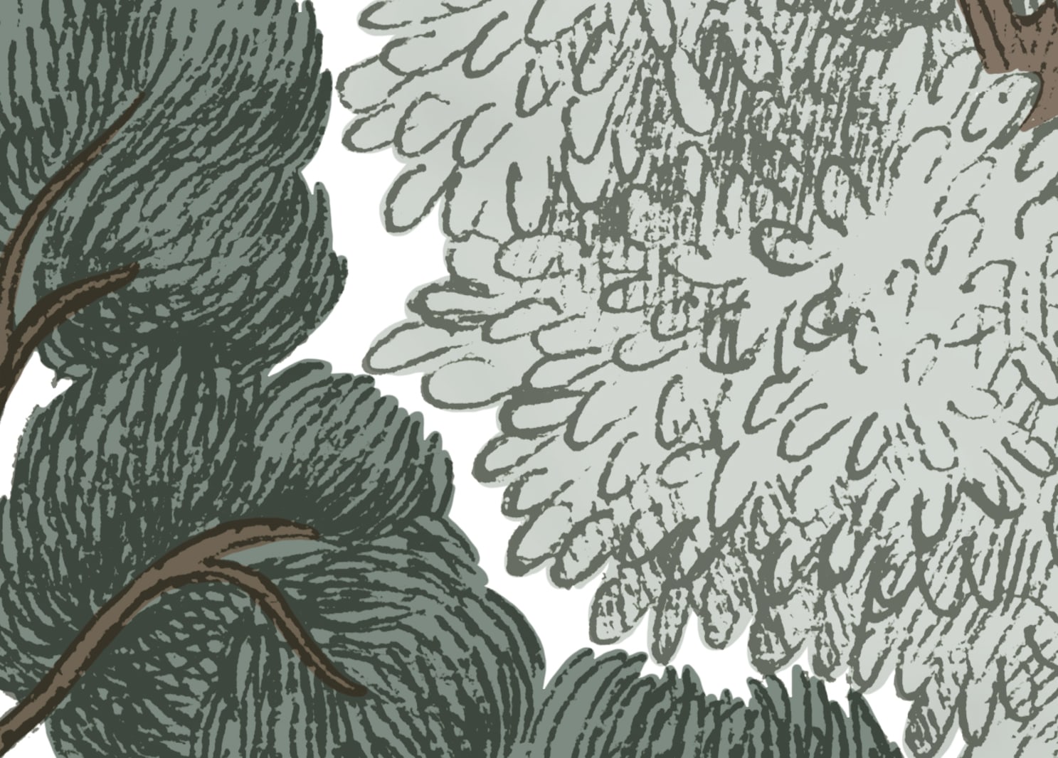 Scandinavian Bellewood, Frost, Rebel Walls 4