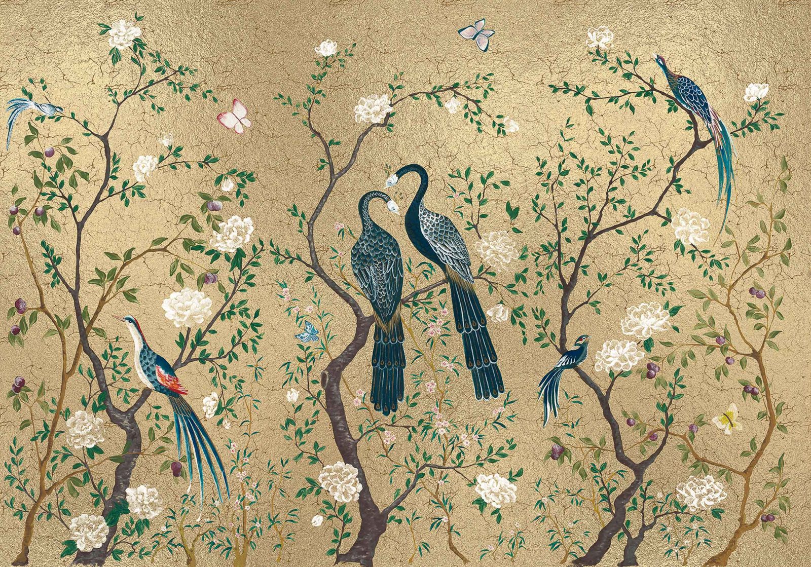 Edo, Extra Gold, Coordonne