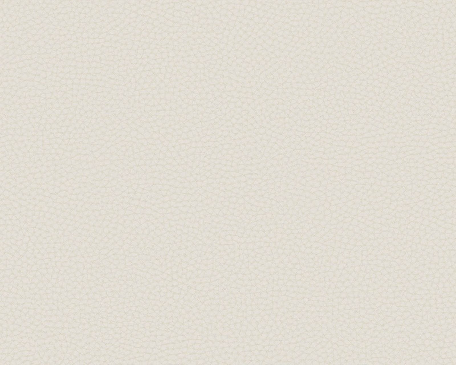 Chic Leather, 64788001, Coordonne