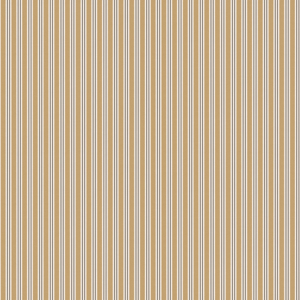 Linn, Honey, Sandberg, 5.3mp / rola