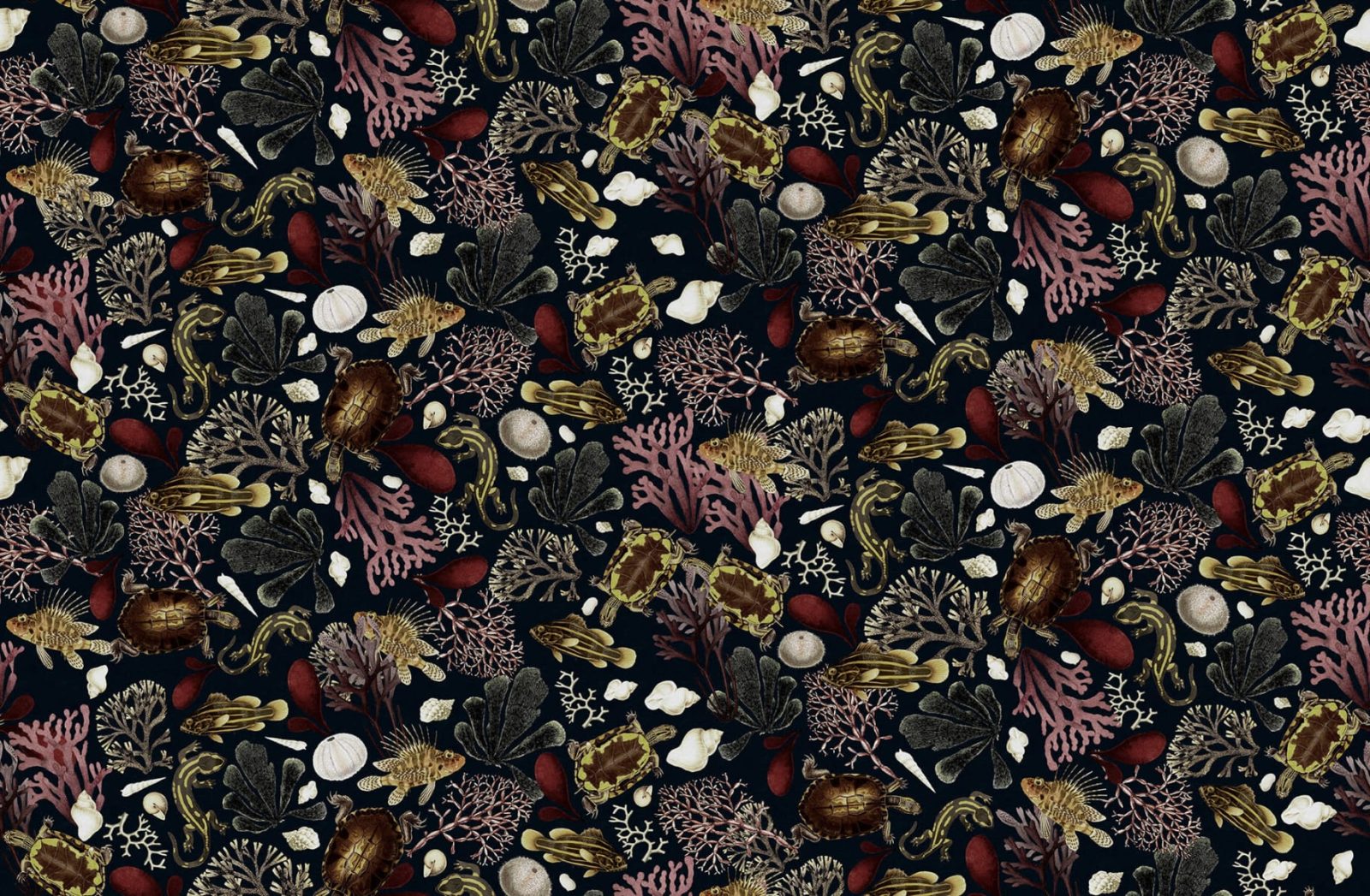 Ocean Life, Night, Rebel Walls