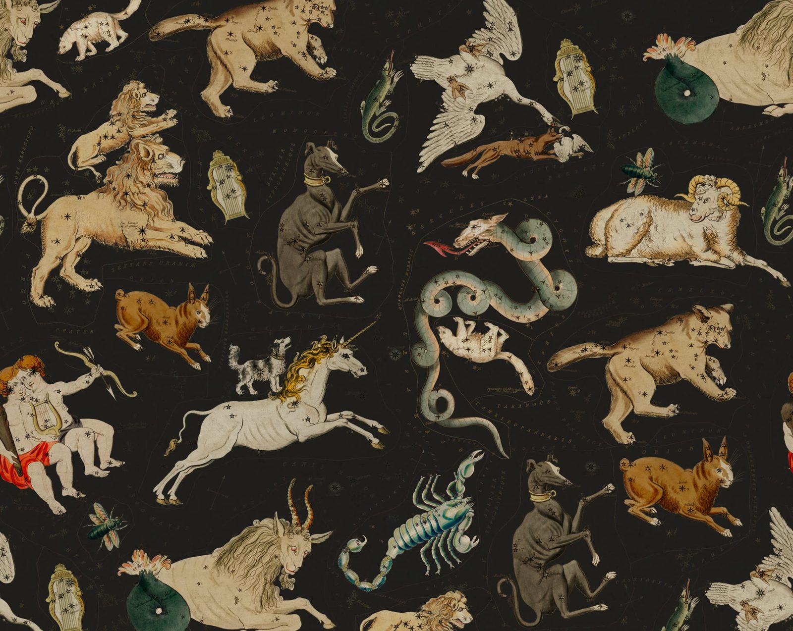 Zodiac, Night, Rebel Walls